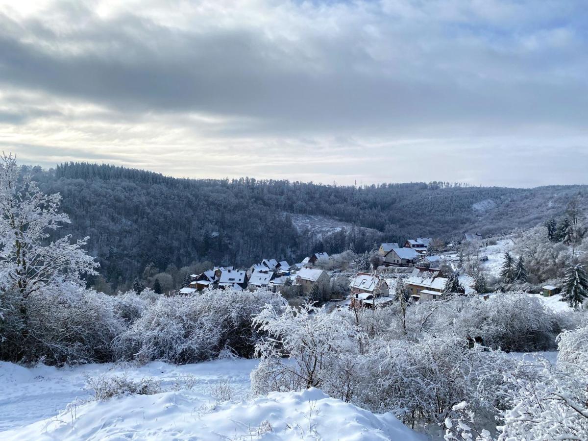Das Gruene Haus Am Hexenstieg Rubeland Exteriér fotografie