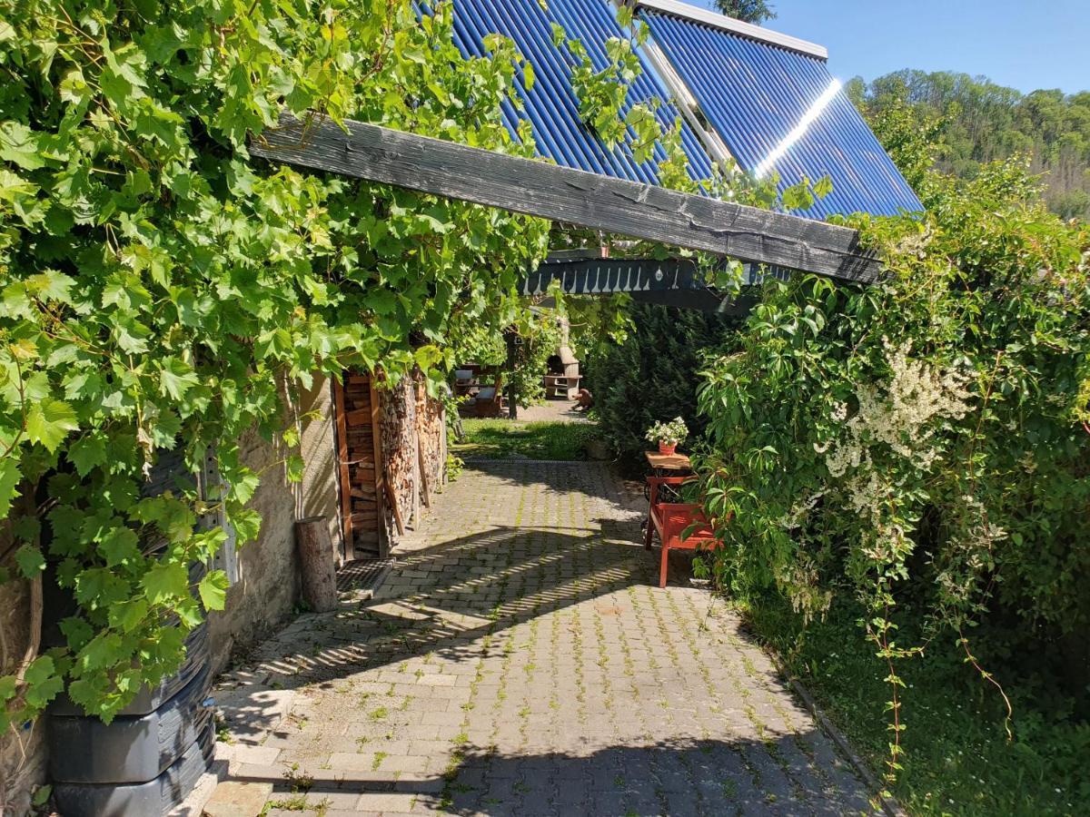 Das Gruene Haus Am Hexenstieg Rubeland Exteriér fotografie
