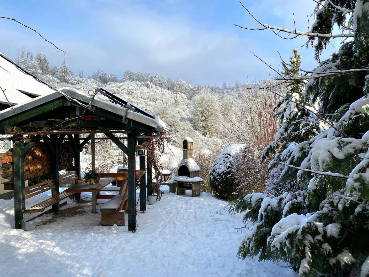 Das Gruene Haus Am Hexenstieg Rubeland Exteriér fotografie