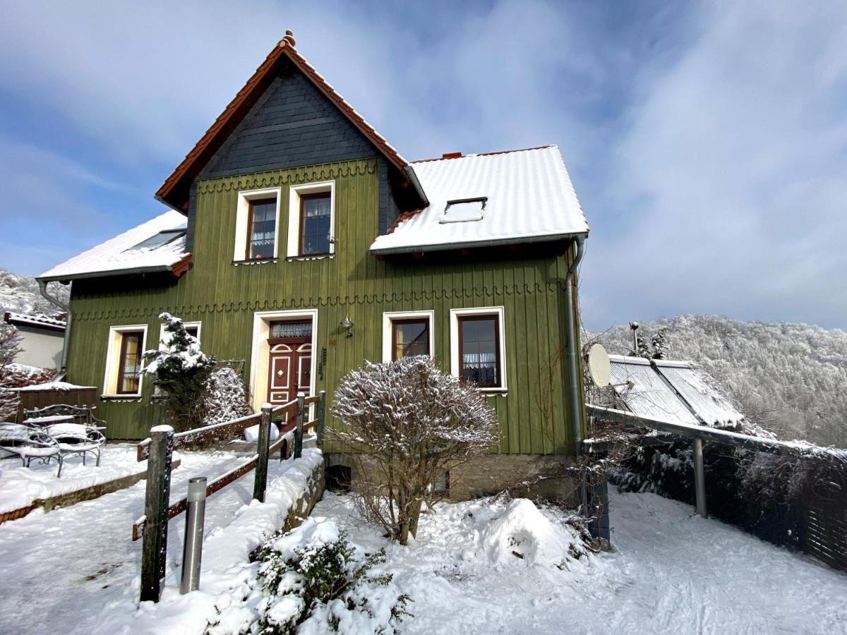 Das Gruene Haus Am Hexenstieg Rubeland Exteriér fotografie