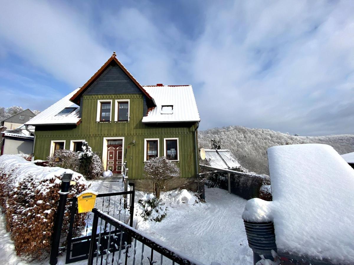 Das Gruene Haus Am Hexenstieg Rubeland Exteriér fotografie