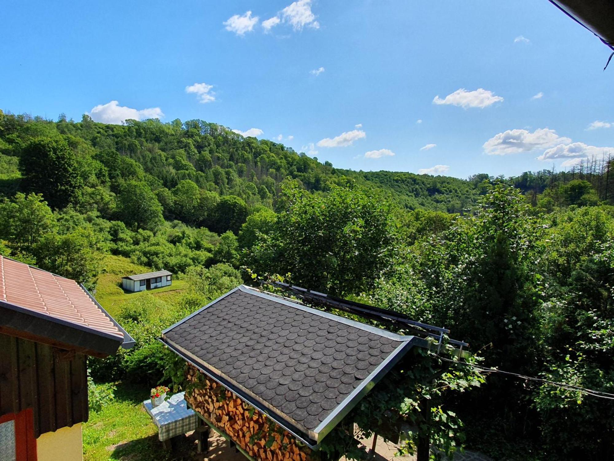 Das Gruene Haus Am Hexenstieg Rubeland Exteriér fotografie